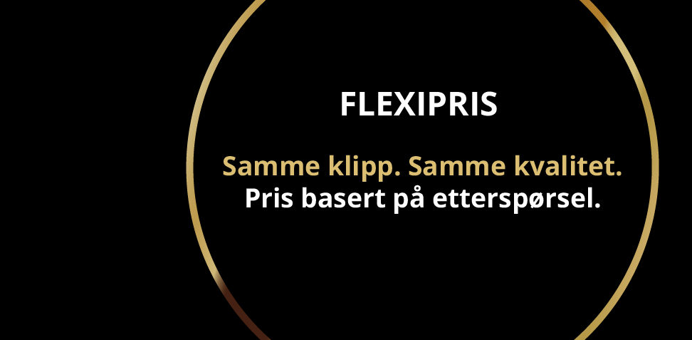 Flexipris