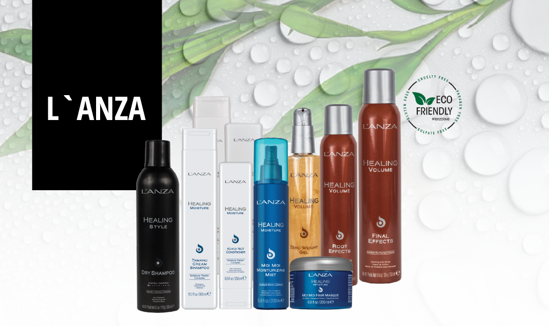 L'ANZA